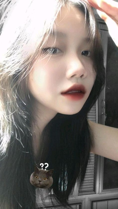 www色